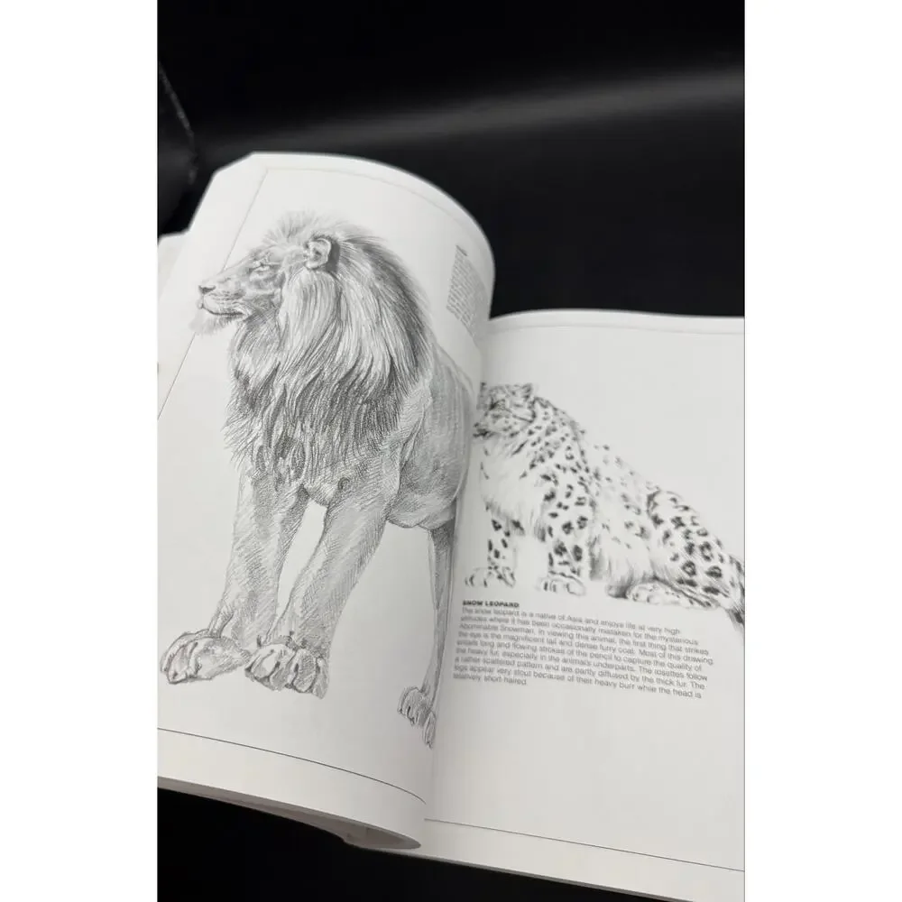 Vintage 1984 Pencil Drawing Techniques by David Lewis Instruction Book
